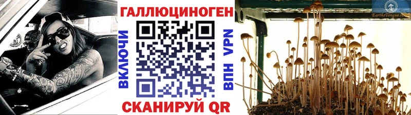 Галлюциногенные грибы мухоморы  Купить где  Вичуга 