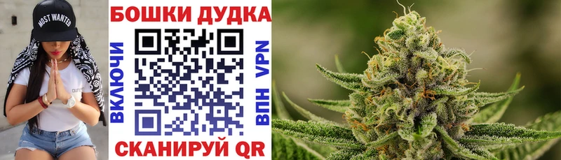 Бошки Шишки семена Купить где Вичуга